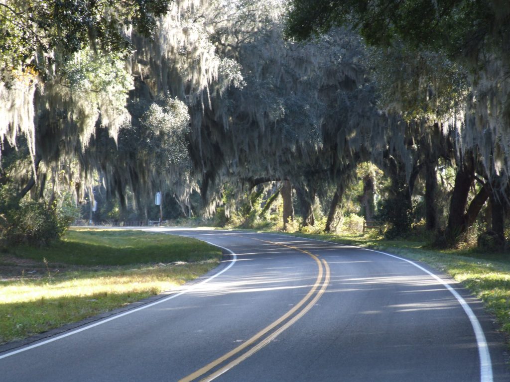 Image shows a curving roadway that is lined with trees with moss hanging from the branches.