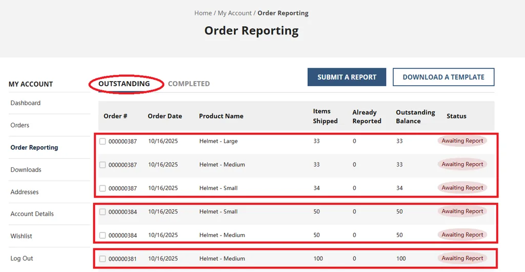 Image of the Order Reporting screen illustrating how items due for reporting will appear.